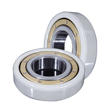 INSOCOAT Deep Groove Ball Bearings